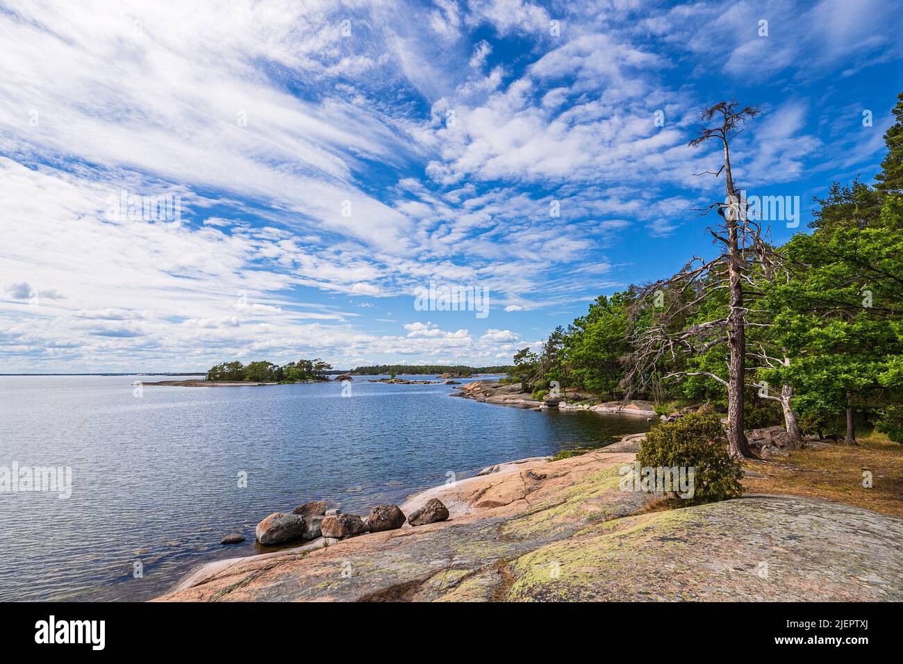Landscape with rocks and trees near Oskashamn in Sweden. Stock Photo