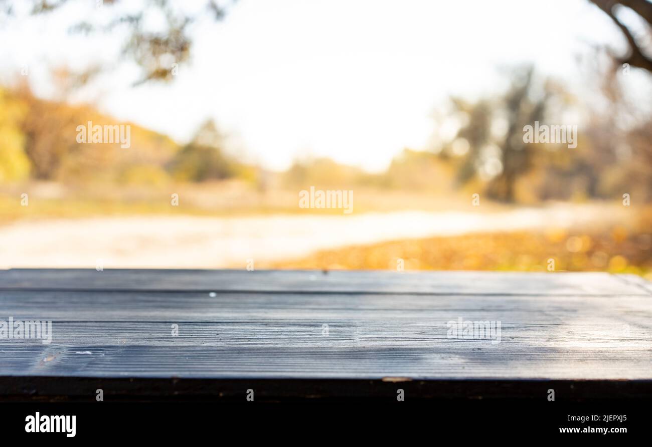 Empty wooden table nature bokeh background with autumn yellow maple ...