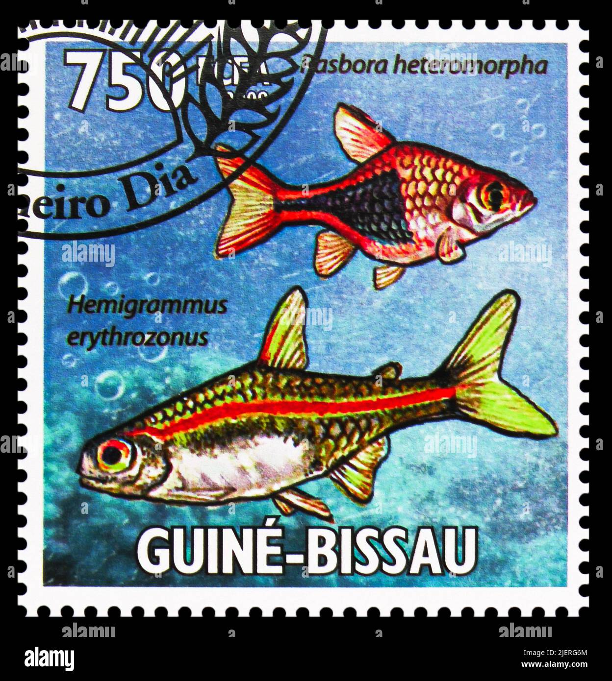 MOSCOW, RUSSIA - JUNE 17, 2022: Postage stamp printed in Guinea-Bissau shows Harlequin (Rasbora heteromorpha), Glowlight Tetra (Hemigrammus erythrozon Stock Photo