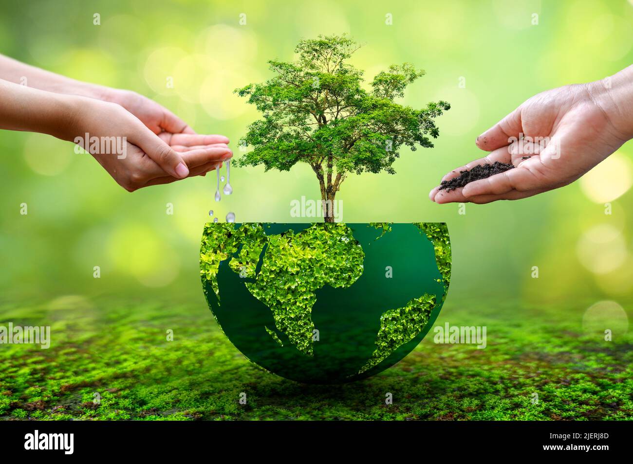 People are watering and fertilizing the plants. environmental care concept Stock Photo