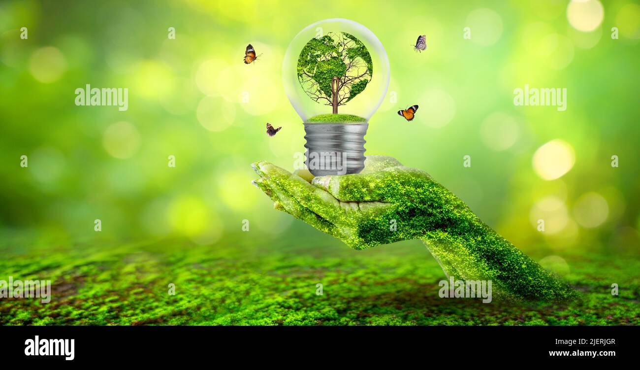 world shaped tree in light bulb concept of environmental conservation and protecting nature Stock Photo