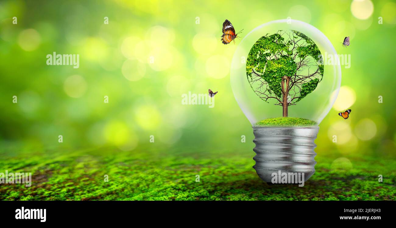 world shaped tree in light bulb concept of environmental conservation and protecting nature Stock Photo