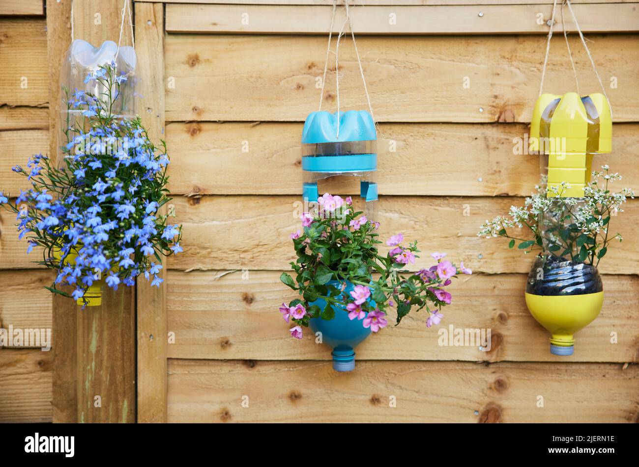 Sustainable Plant Holders Made From Repurposed Recycled Plastic Bottles In Garden Stock Photo
