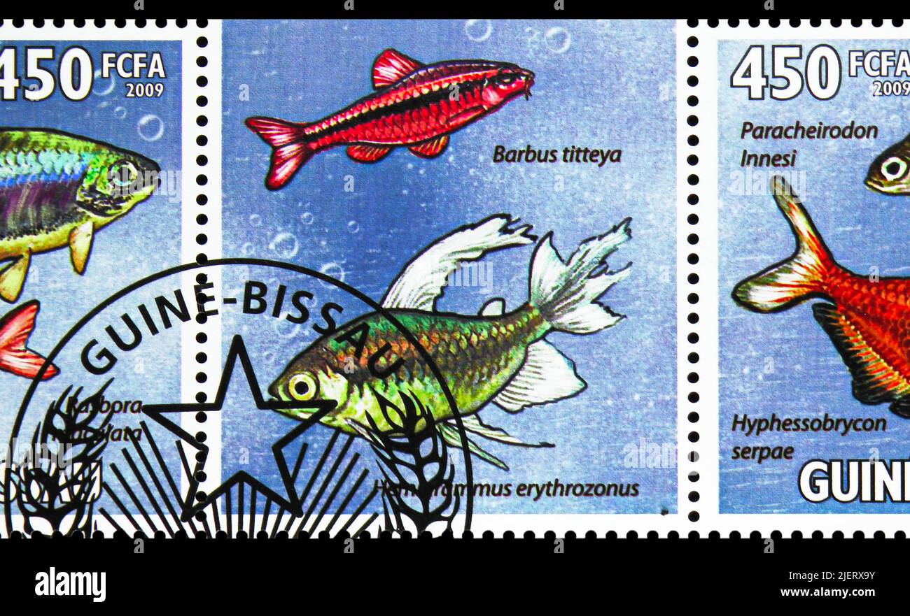 MOSCOW, RUSSIA - JUNE 17, 2022: Postage stamp printed in Guinea-Bissau shows Cherry barb (Barbus tittea), Glowlight tetra (Hemigrammus erythrozonus), Stock Photo