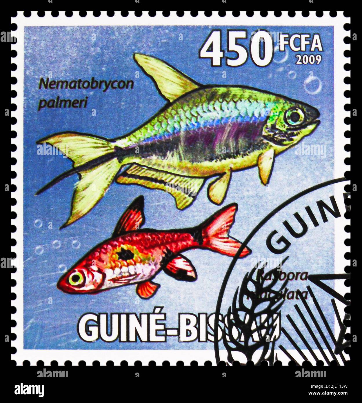 MOSCOW, RUSSIA - JUNE 17, 2022: Postage stamp printed in Guinea-Bissau shows Emperor Tetra (Nematobrycon palmeri), Rasbora maculata (Boraras maculatus Stock Photo