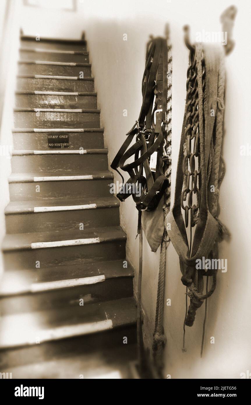 Vintage horse tack hi-res stock photography and images - Alamy