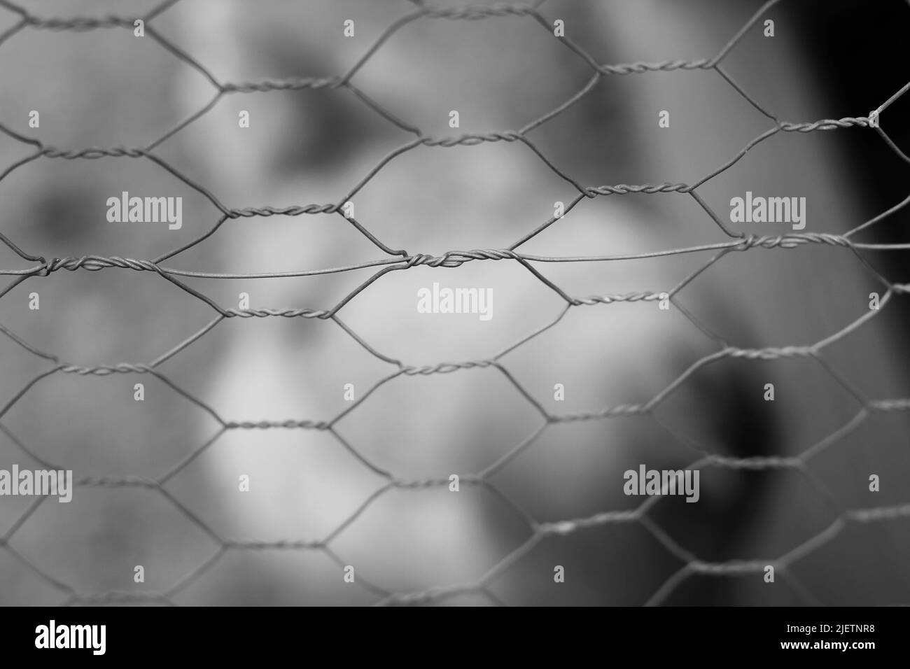 Traditional wire fence surrounding a chicken coop in black and white. Stock Photo
