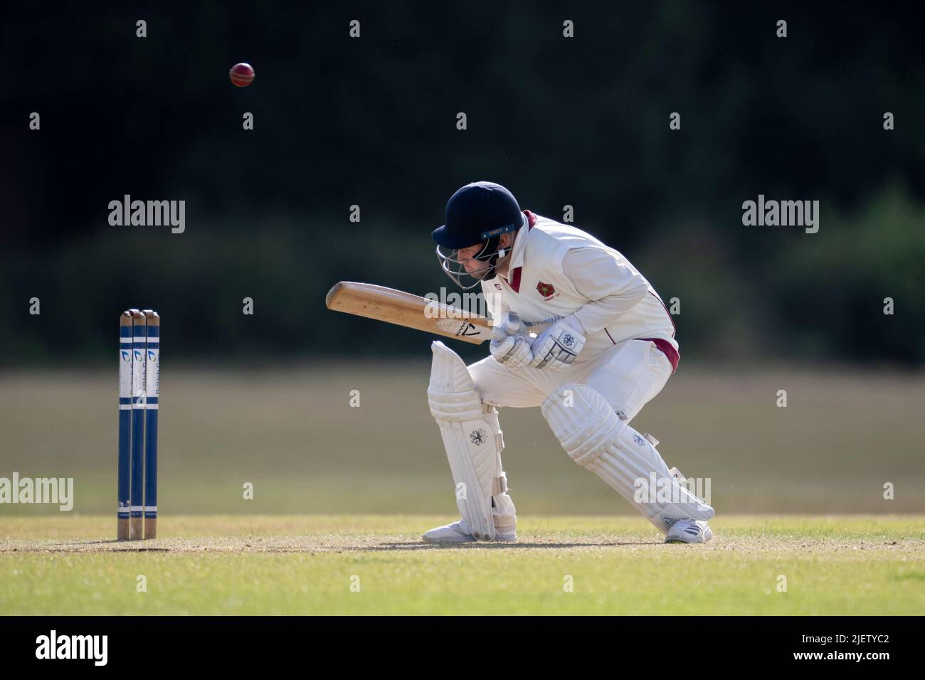 Cricket batsman ducking from bowlerÕs bouncer Stock Photo