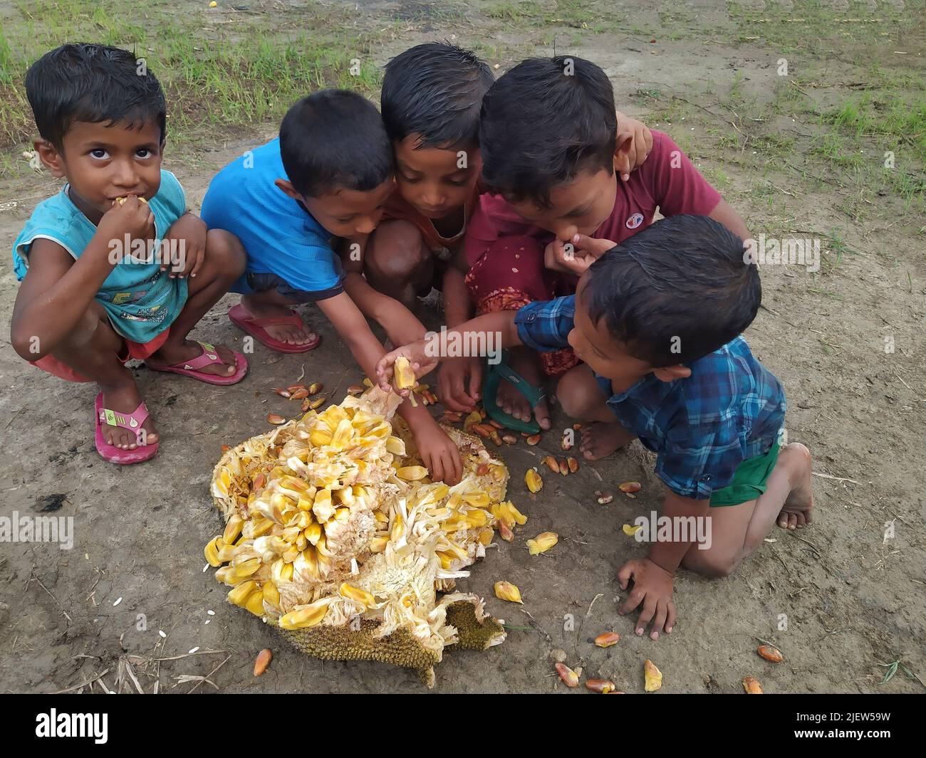 Eating jackfruit by kids Stock Photo