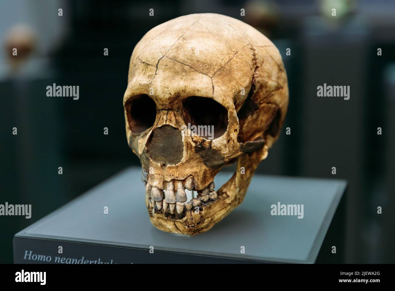 Moskva viloyati, Klin shahridagi fohishalar Ayollar pubik hududi video