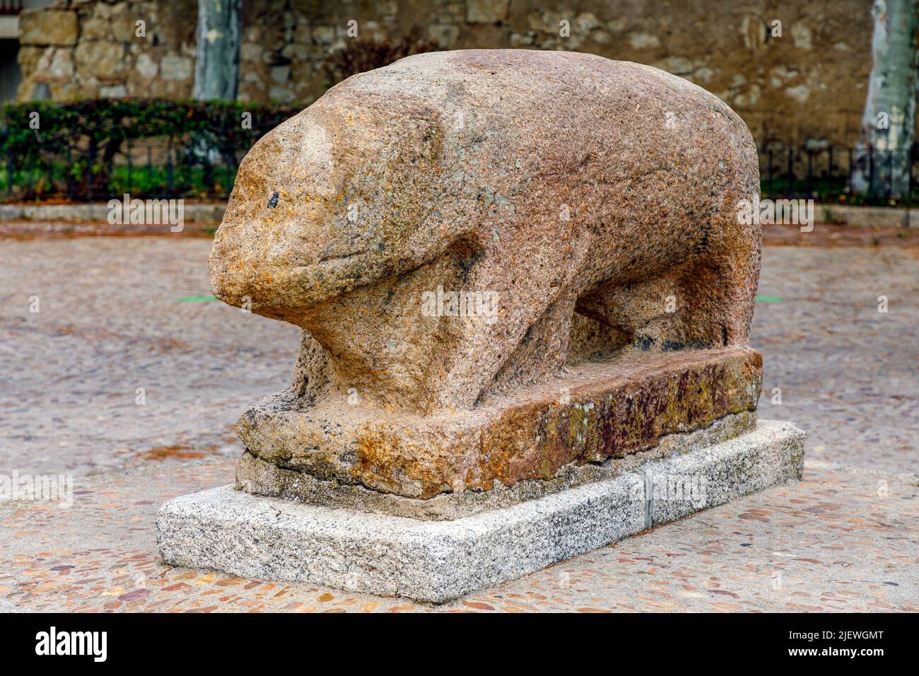 Granite boar in Ciudad Rodrigo Salamanca Spain. Veton origin of the pre-Roman period. Stock Photo