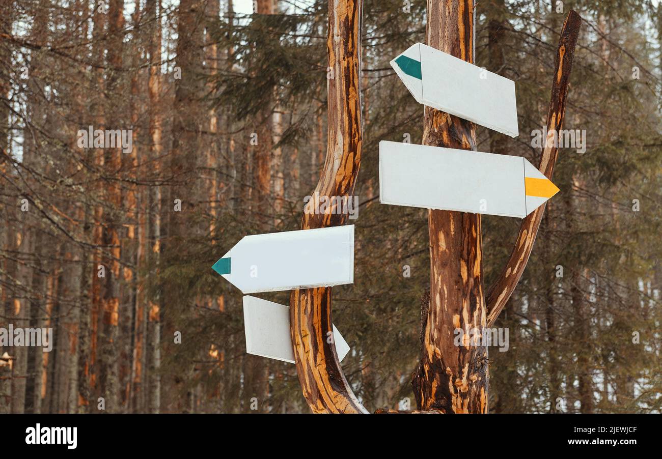 Blank dirrection signs with copy space in the mountain forest Stock ...
