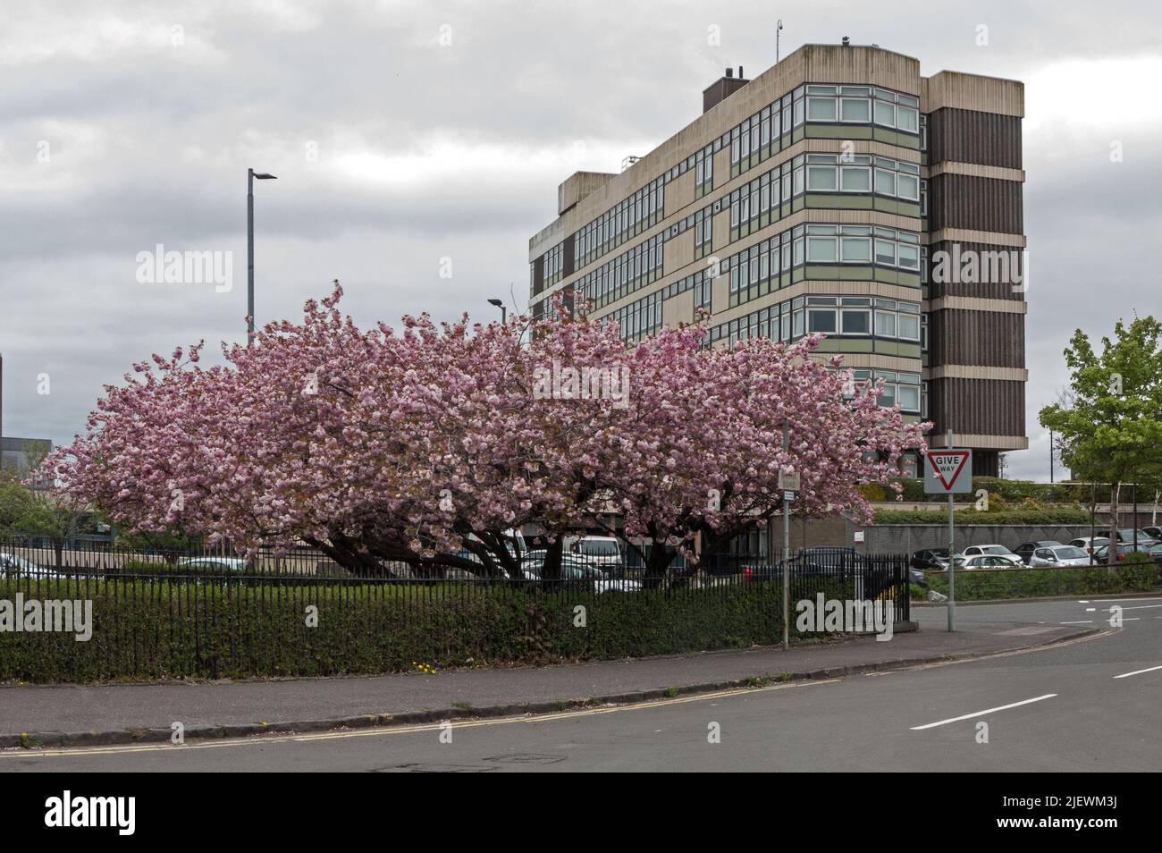 Motherwell Civic Centre in spring Stock Photo