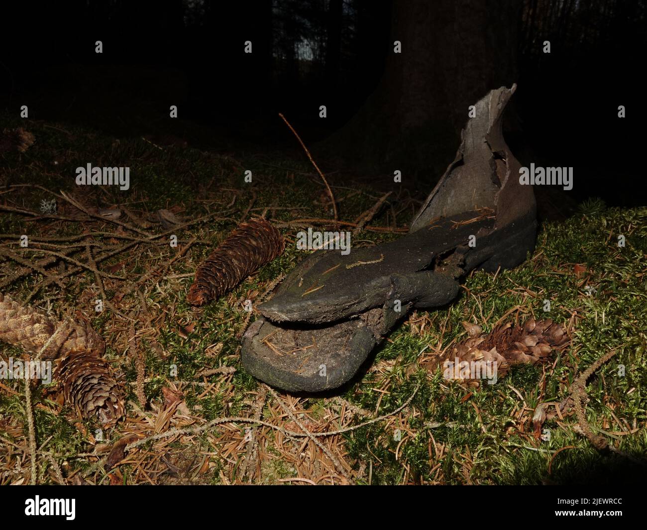 Could this be one of the soles from the adventure with Askeladden? Stock Photo