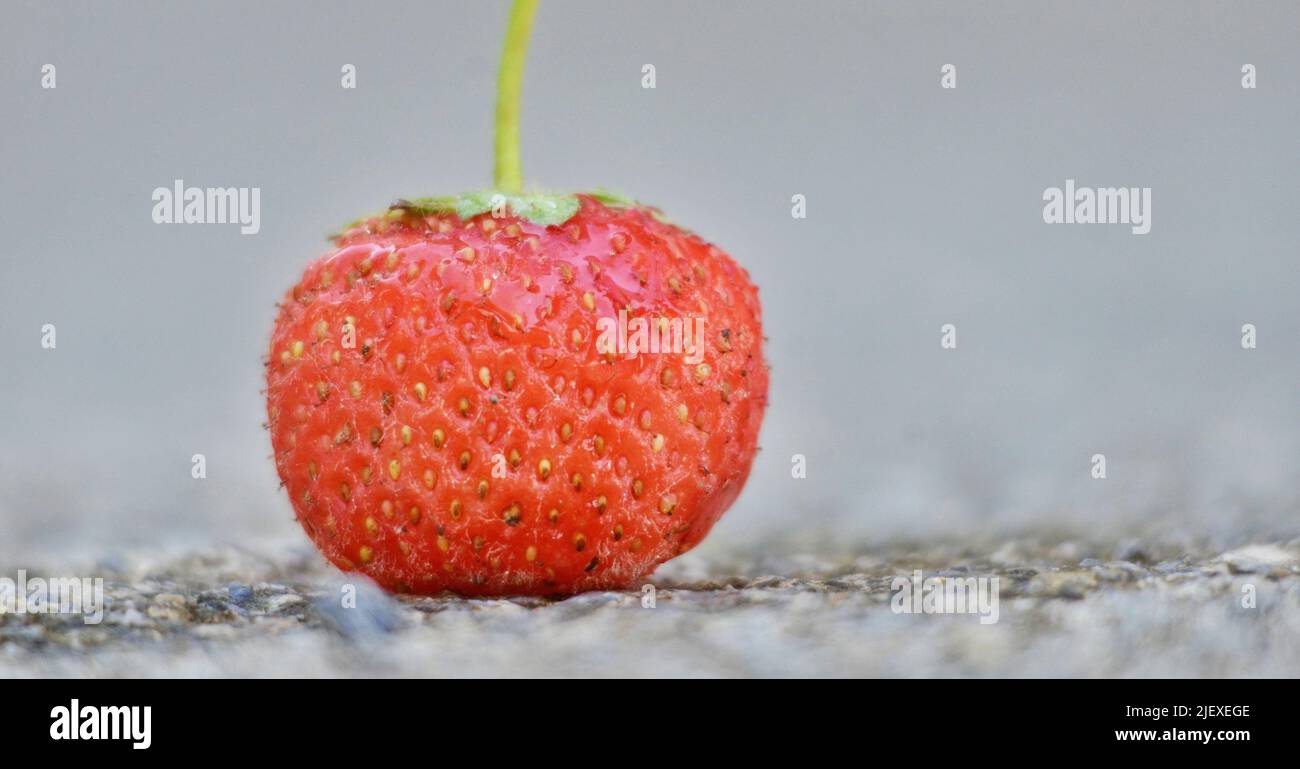 Red ripe strawberries background. Close up, top view Stock Photo - Alamy