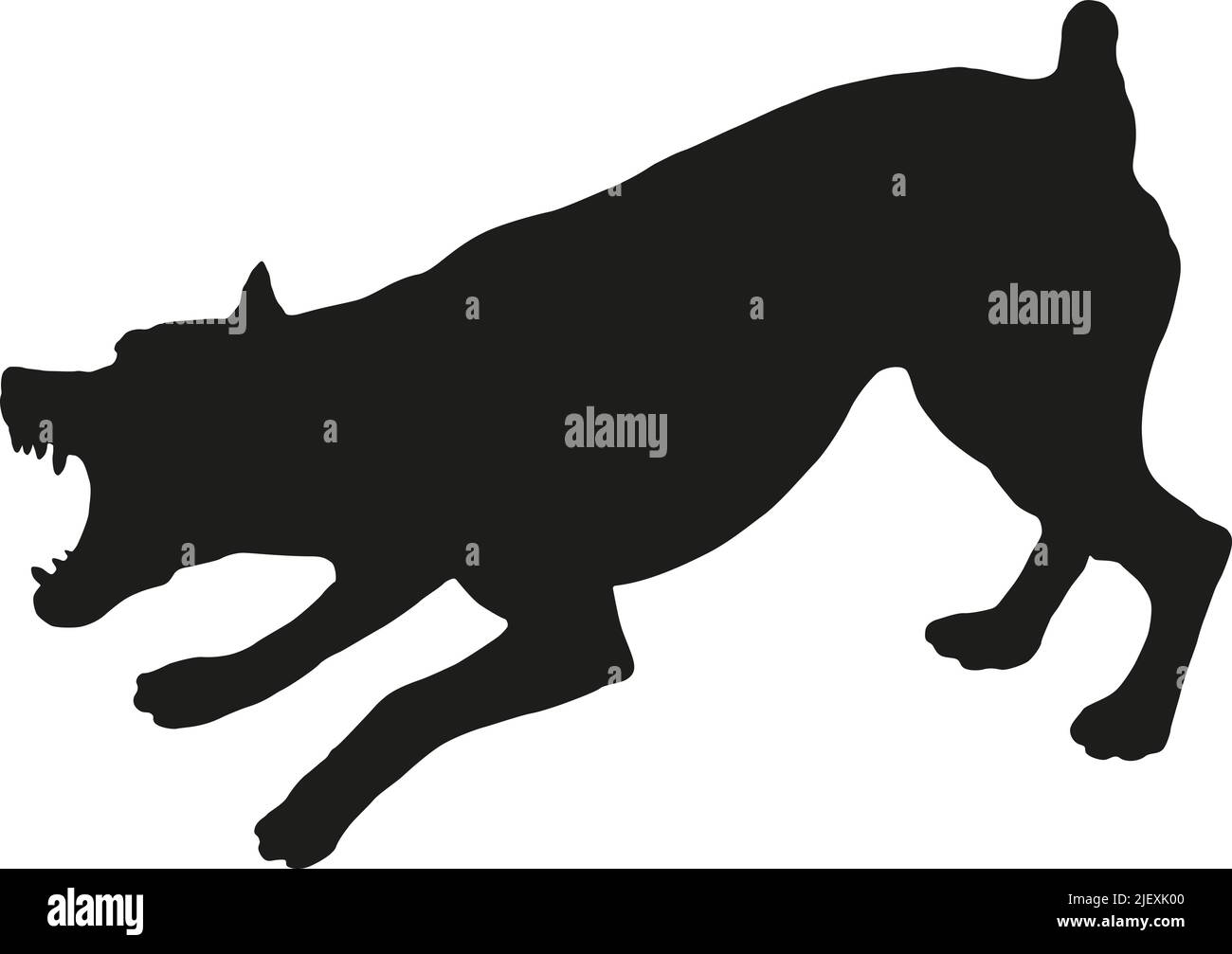 Agressive and angry zwergpinscher puppy. Dangerous miniature pinscher or min pin,. Black dog silhouette. Pet animals. Isolated on a white background. Stock Vector