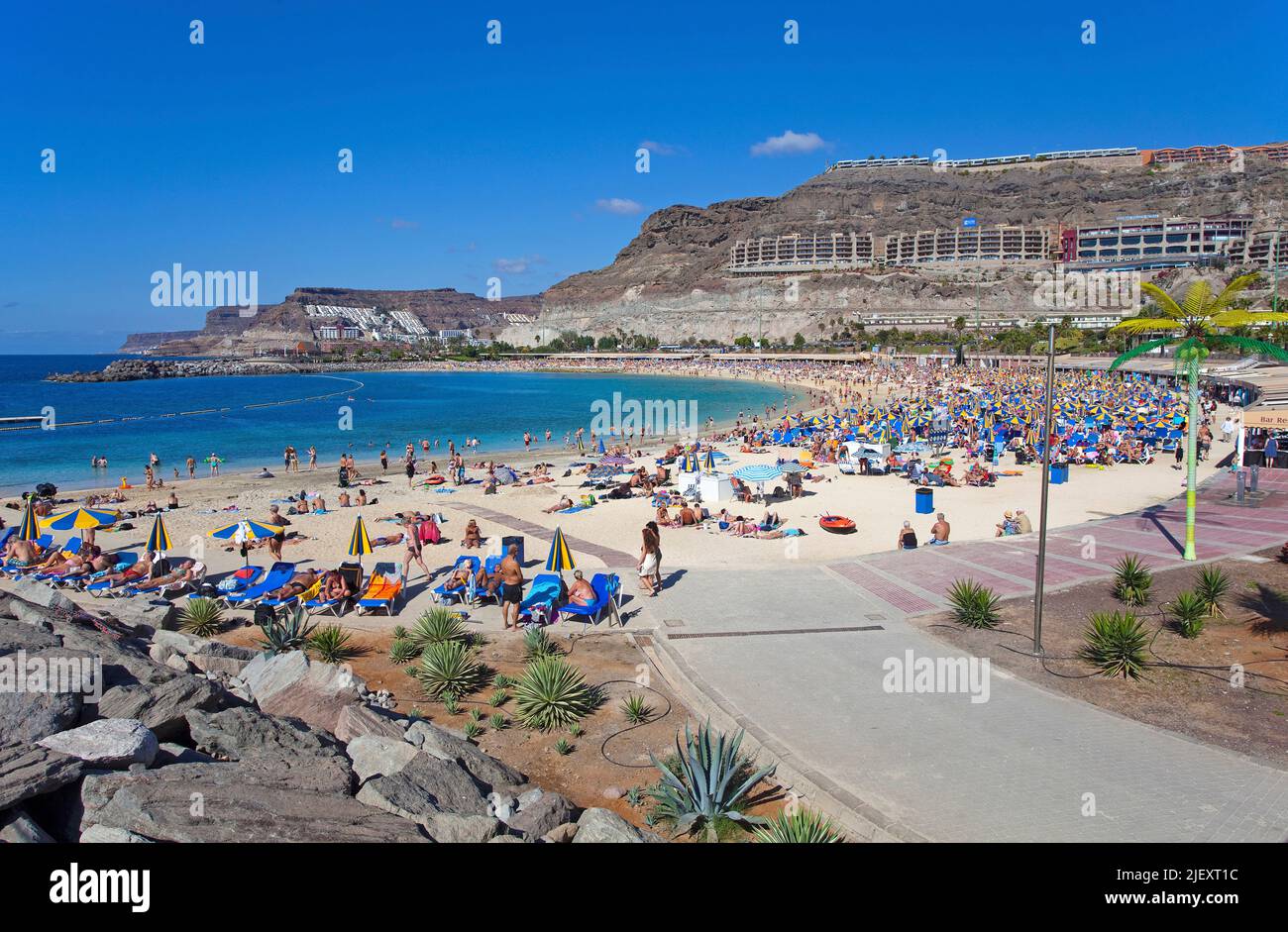 Holidaymakers on Playa de los Amadores, bathing beach close to Puerto Rico, Grand Canary, Canary islands, Spain, Europe, Atlantic ocean Stock Photo