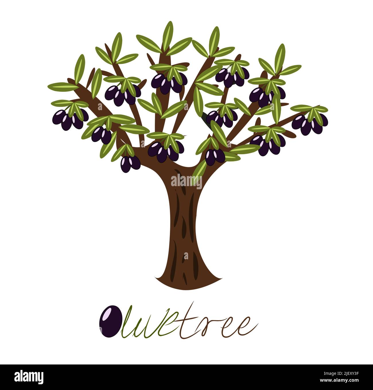 Olive tree full of black olives Stock Vector Image & Art Alamy
