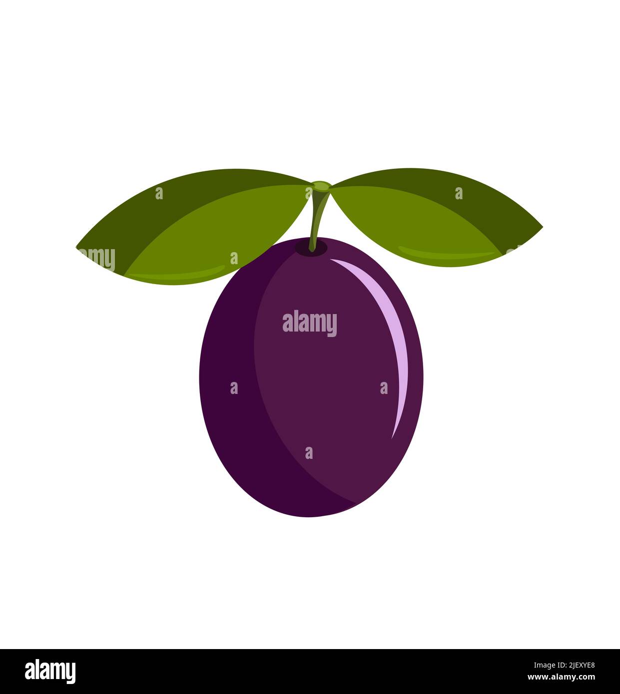 One ripe purple delicious plum with leaf vector illustration Stock Vector
