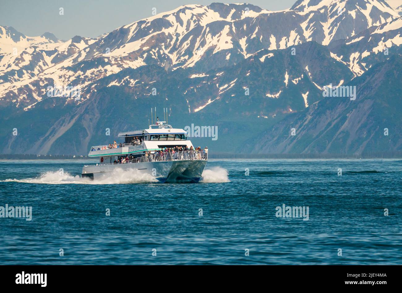 Seward, Alaska - 3 June 2022: Kenai Fjord wildlife tour boat by snow mountains Stock Photo