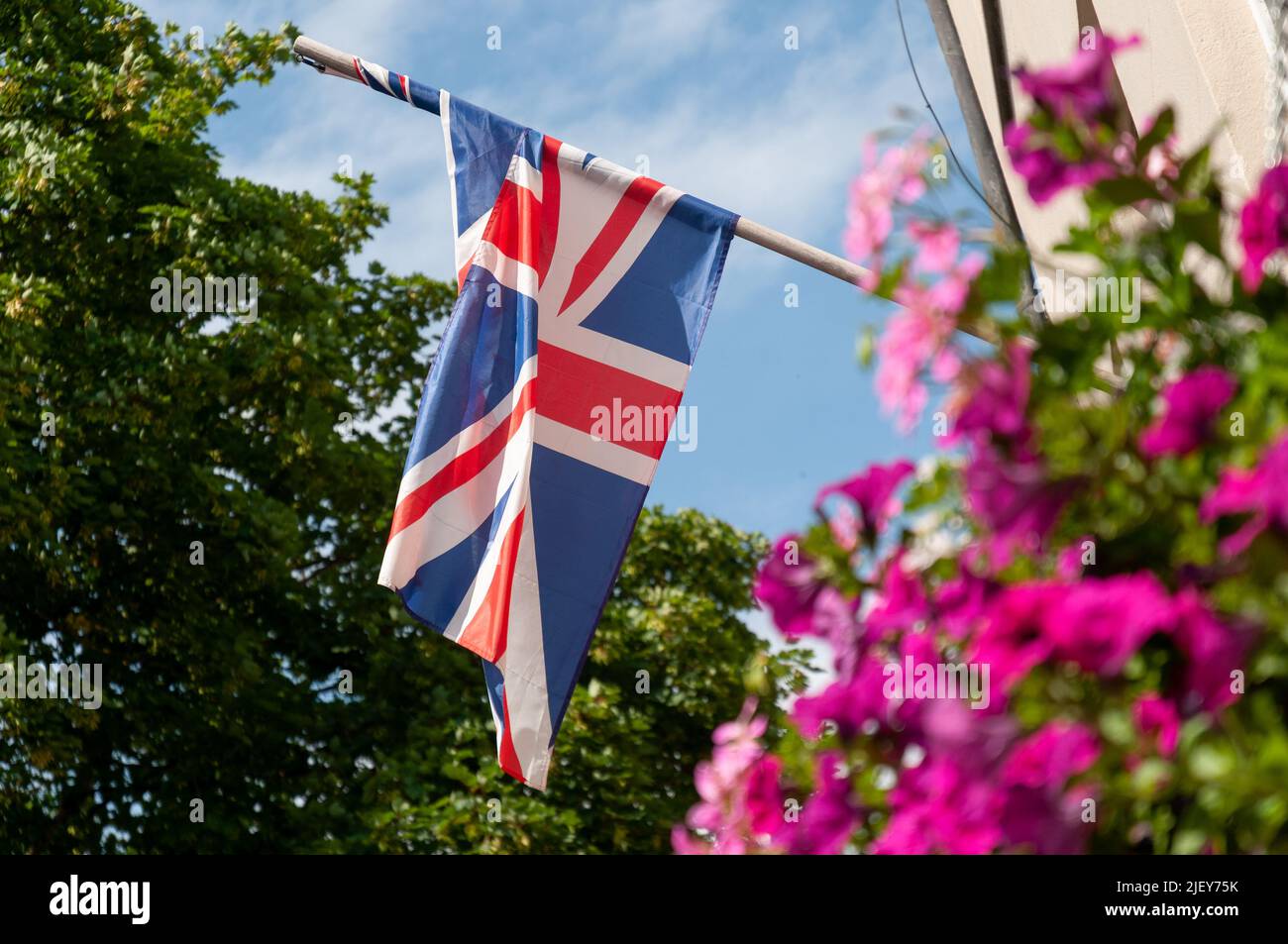 union jack flying in breeze on pole through flowers Stock Photo