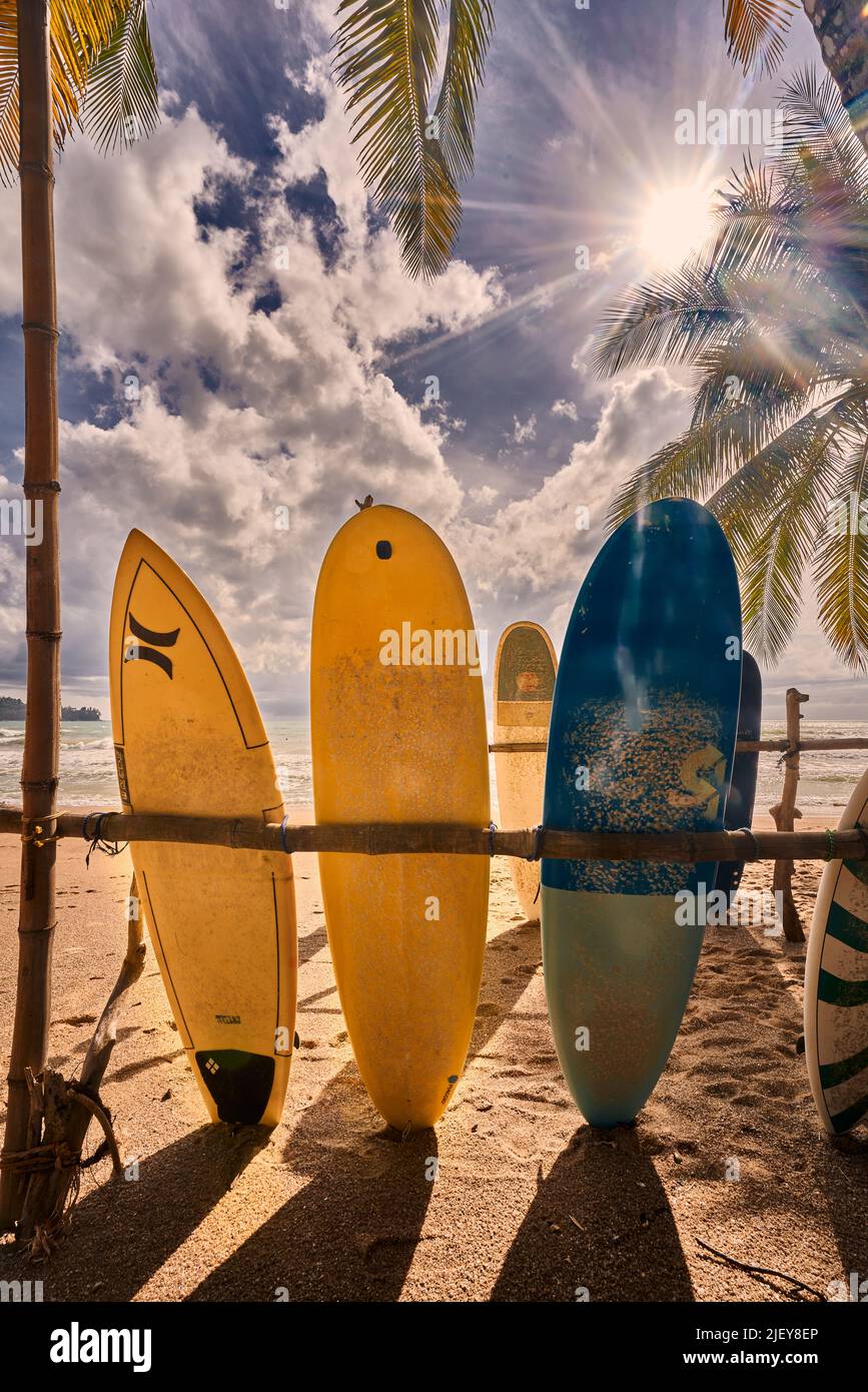 Surf school and hawaii hi-res stock photography and images - Alamy