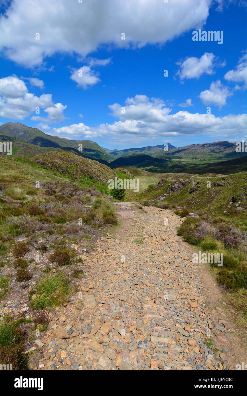 Aberglaslyn Walk near Beddgerlert Snowdonia North Wales UK Stock Photo