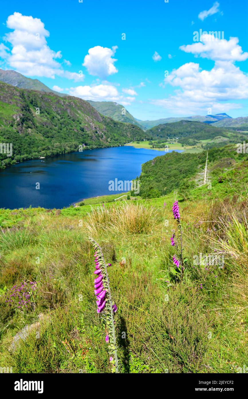 Snowdon and surounding views North Wales UK Stock Photo Alamy