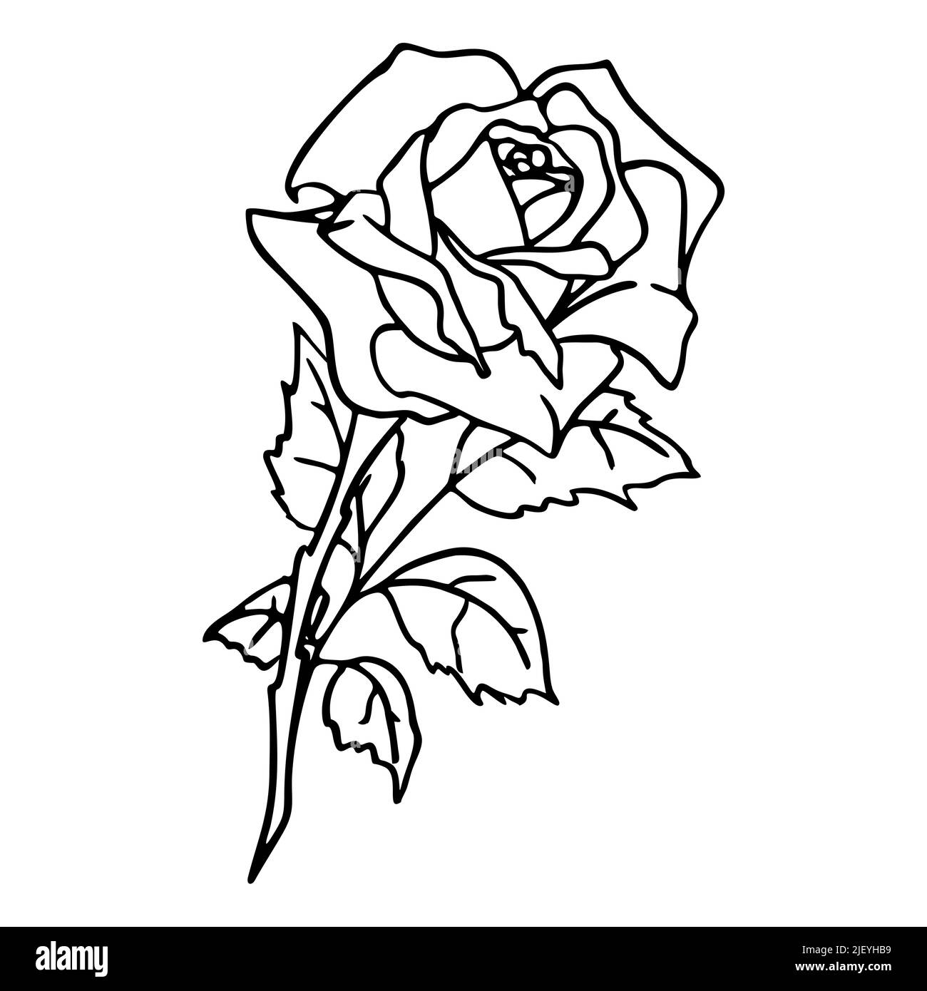 contour black image of a rose on a white background, drawing, graphics, design Stock Vector