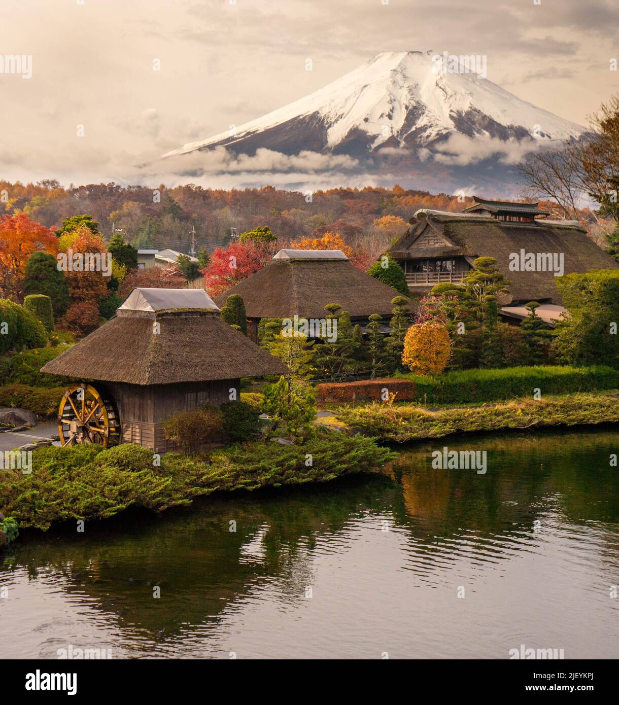 My Image 37