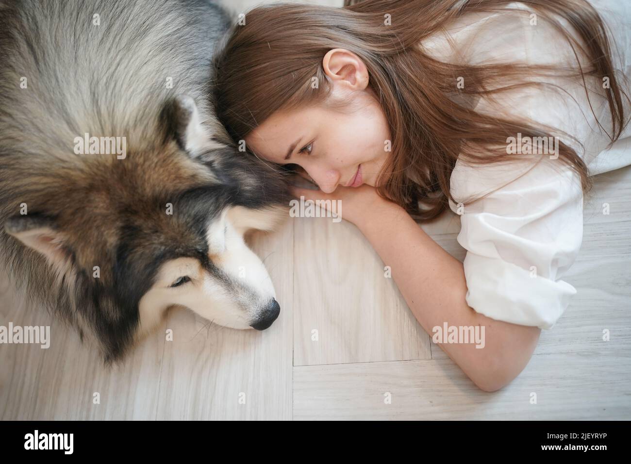 Girl and her dog Stock Photo