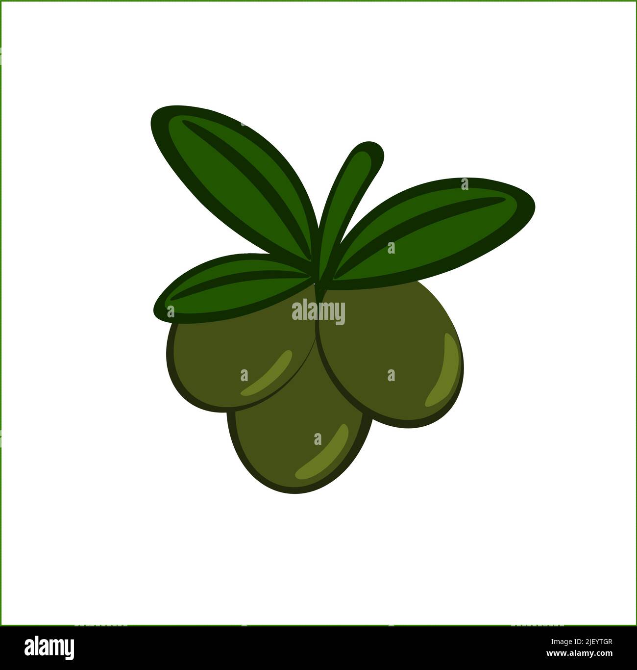 Green olives branch with leaves illustration Stock Vector Image & Art ...
