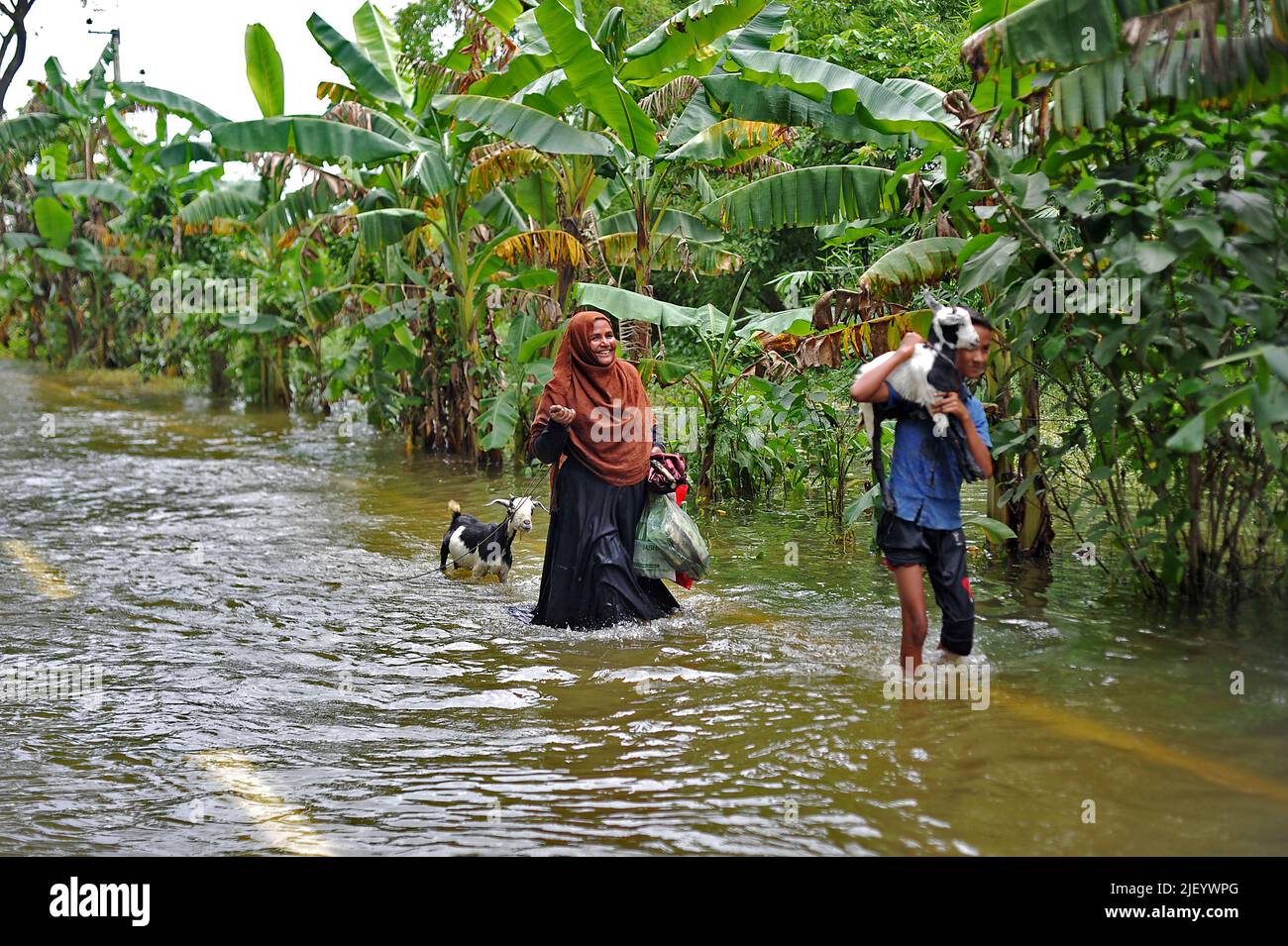 Sylhet, Mexico City, Bangladesh: June 26, 2022, 26 June 2022. Sylhet, Bangladesh: People going along with their livestok in the Flooded street in the Daudpur Union of Dakkin Surma Upazila of Sylhet. The flood situation in some parts of Sylhet has worsened, with water levels in the Kushiara River rising siince last week. According to the local office of the Bangladesh Water Development Board, the Kushiara was flowing above the danger level at various points. (Credit Image: © Md Rafayat Haque Khan/eyepix via ZUMA Press Wire) Stock Photo