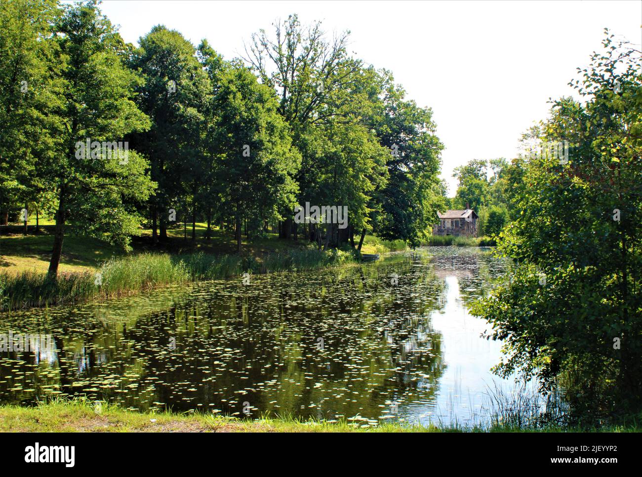 The beautiful nature of Latvia. Stock Photo