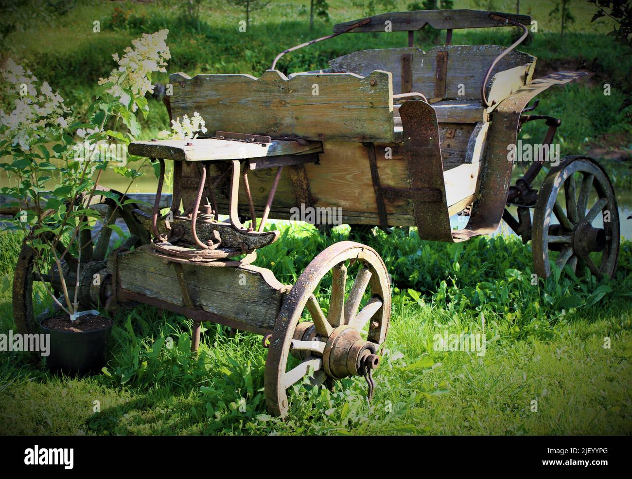 The beautiful nature of Latvia Stock Photo - Alamy