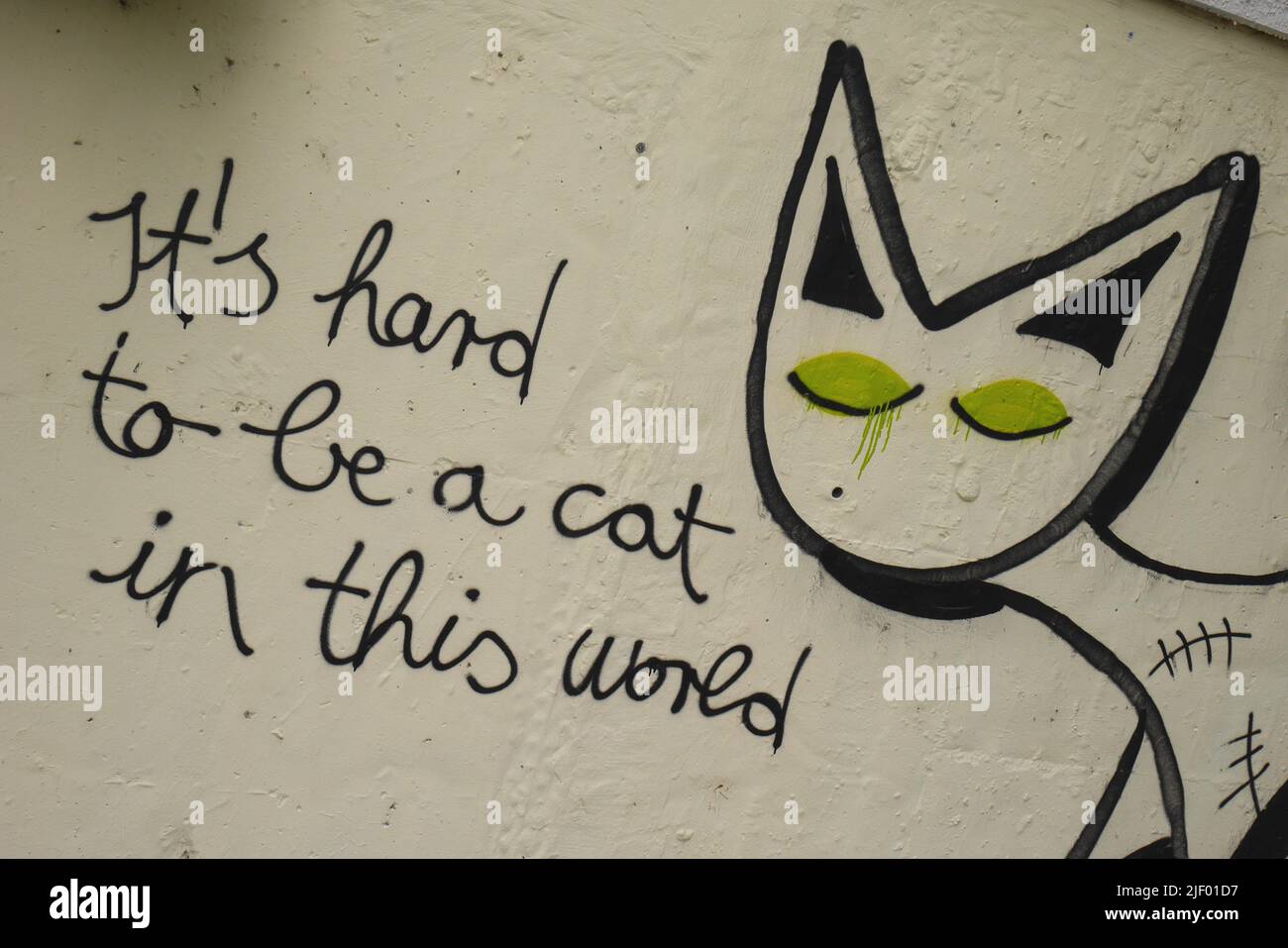 Cat graffiti on the wall of a block of flats, Kecskemet, Hungary Stock Photo