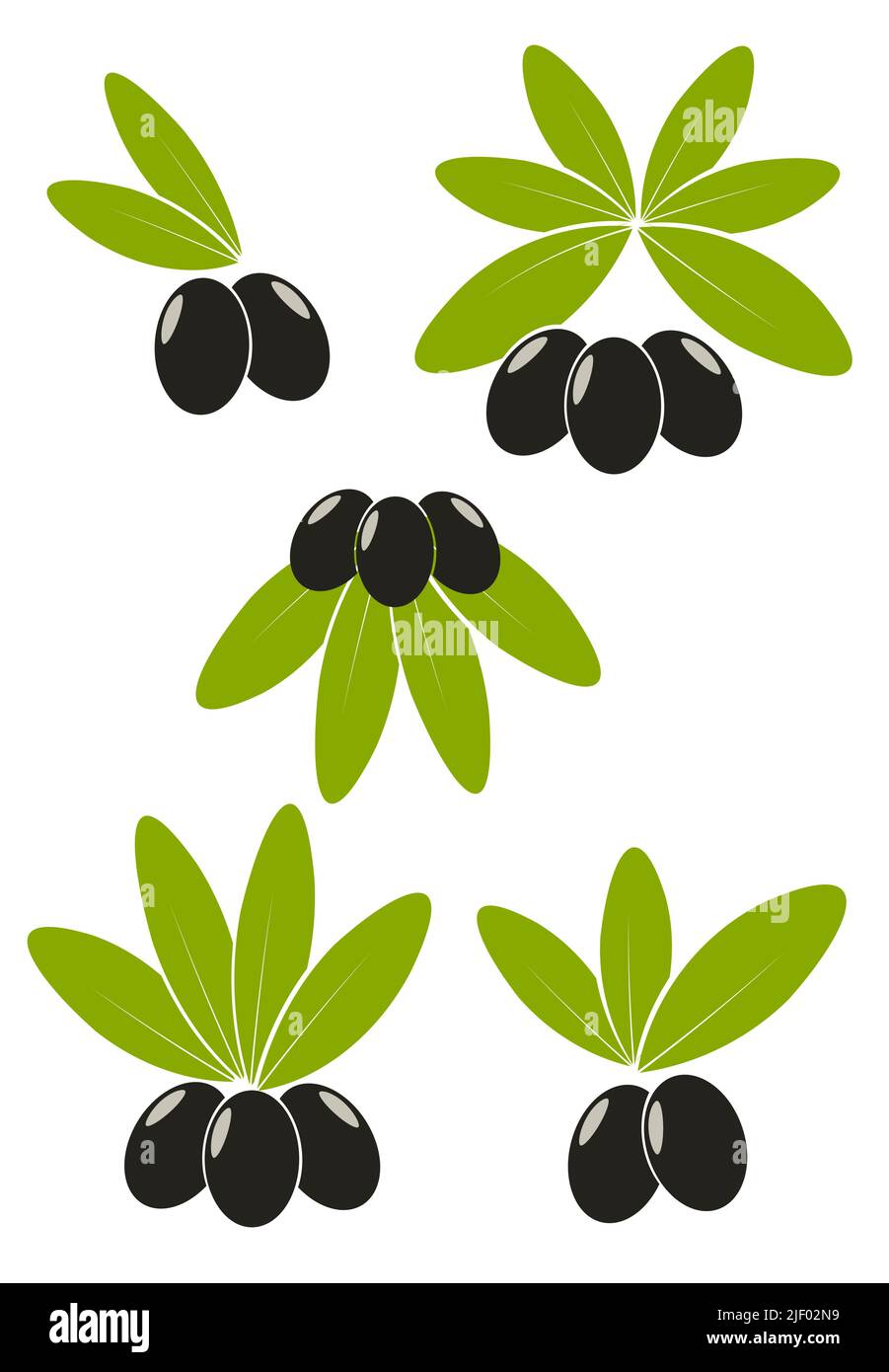 Set of black olives with leaves emblems Stock Vector Image & Art Alamy