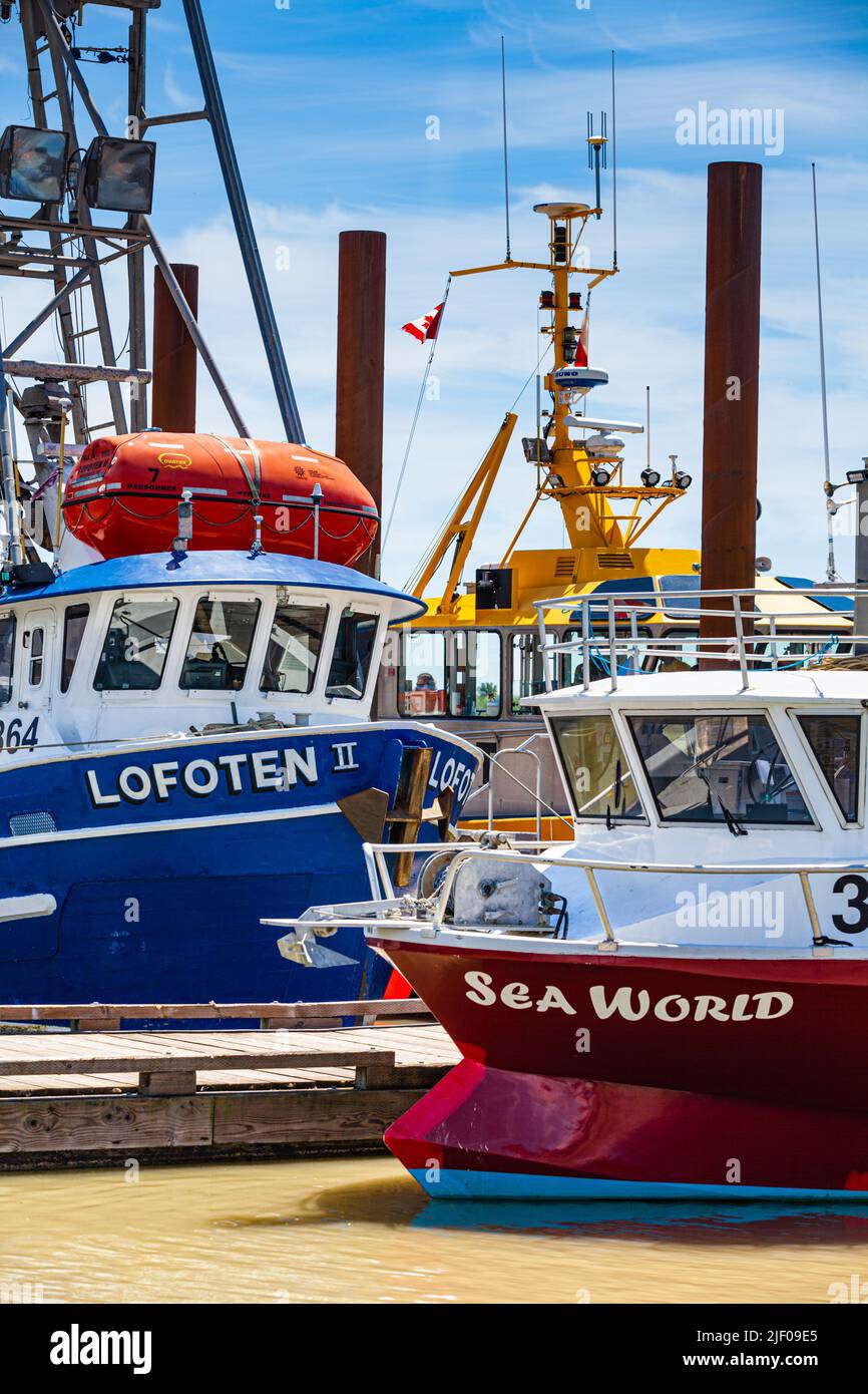 Scene of a busy day in Steveston Harbour in British Columbia Canada Stock Photo