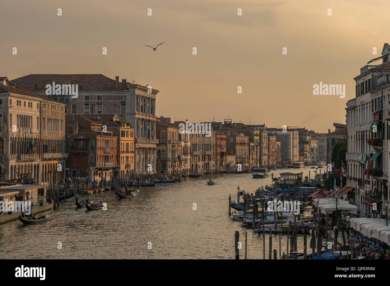 View from Rialto bridge during sunset on Canal Grande, Venezia, Italy Stock Photo