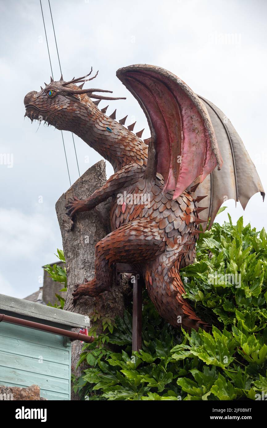 Eight-foot-long dragon Statue climbing a tree in Fife Scotland. Stock Photo