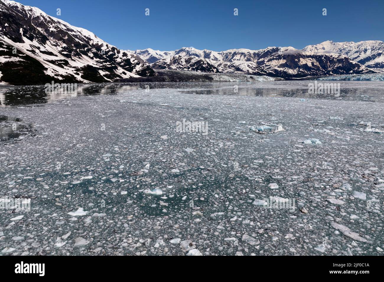 Turner Glacier Disenchantment Bay Alaska USA. Stock Photo