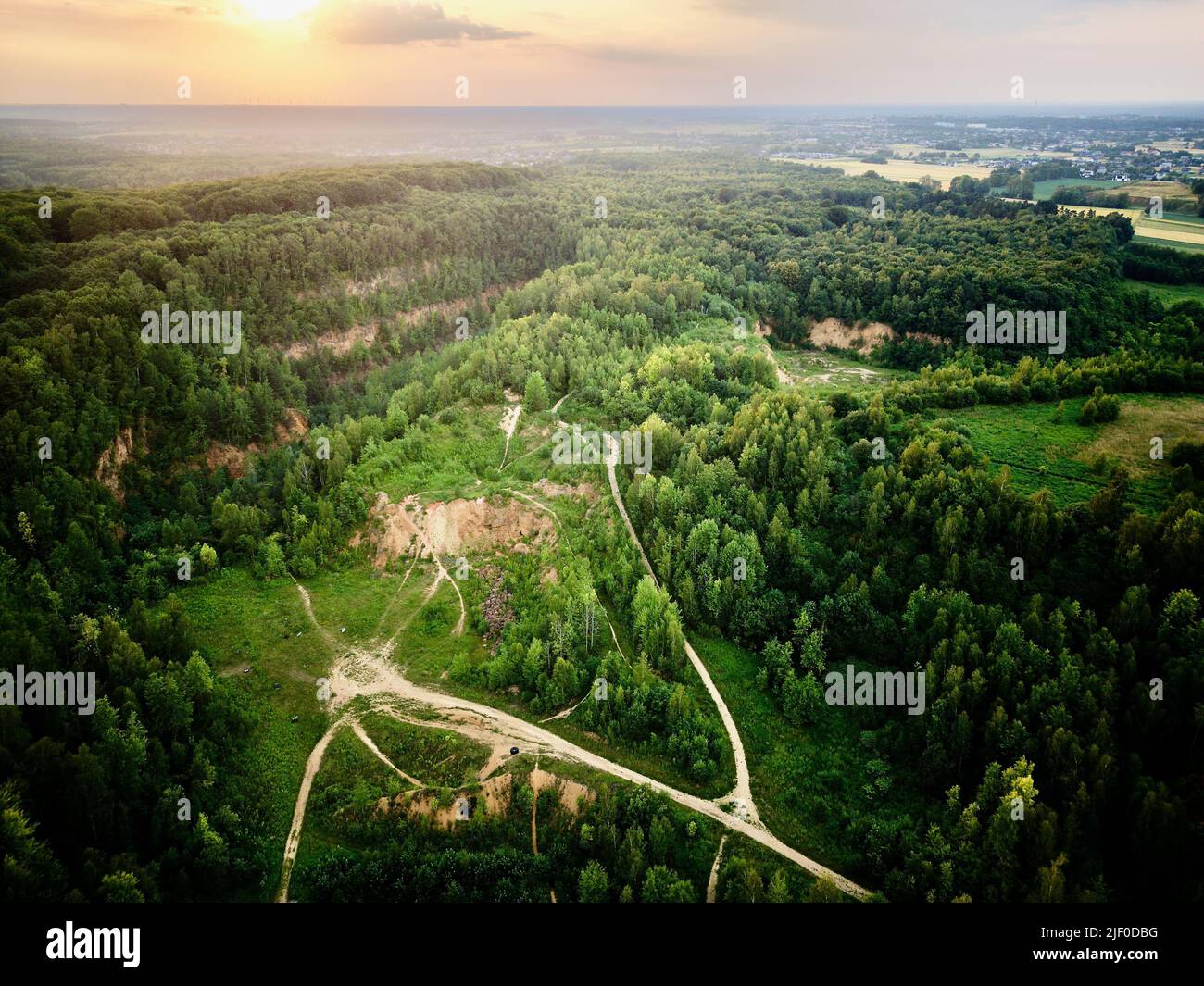 The beautiful summer landscape with green trees in the forest Stock ...