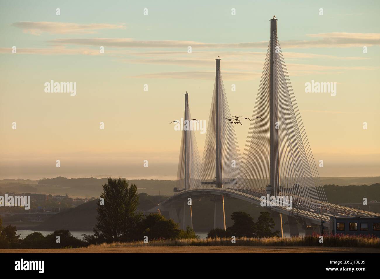 Geese flying in front of The Queensferry Crossing the new bridge over the Firth of Forth at sunrise, Edinburgh Scotland. Stock Photo