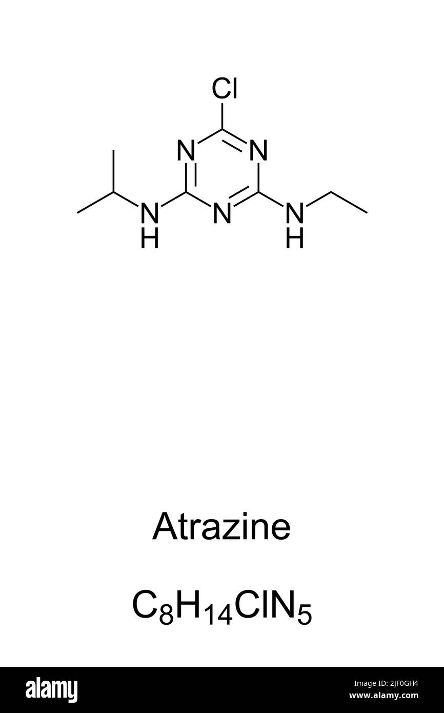 Atrazine, chemical formula and structure. Herbicide used to prevent pre emergence broadleaf weeds in crops, sugarcane and on turf. Stock Photo