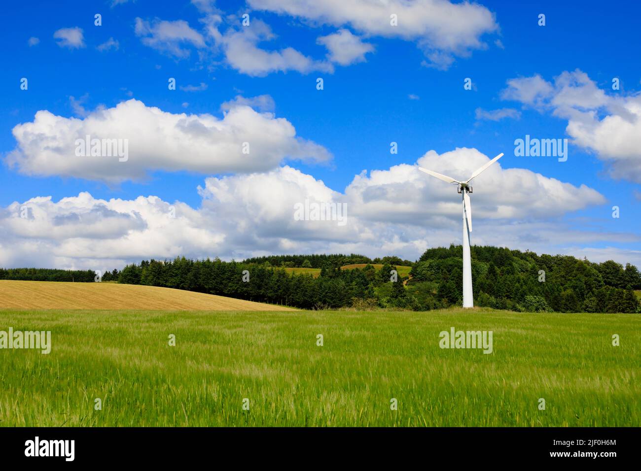 Wind turbine in a green field with blue sky and clouds Stock Photo - Alamy