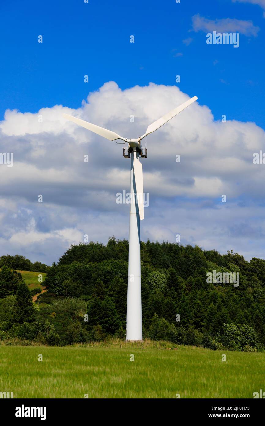 Wind turbine in a green field with blue sky and clouds Stock Photo - Alamy