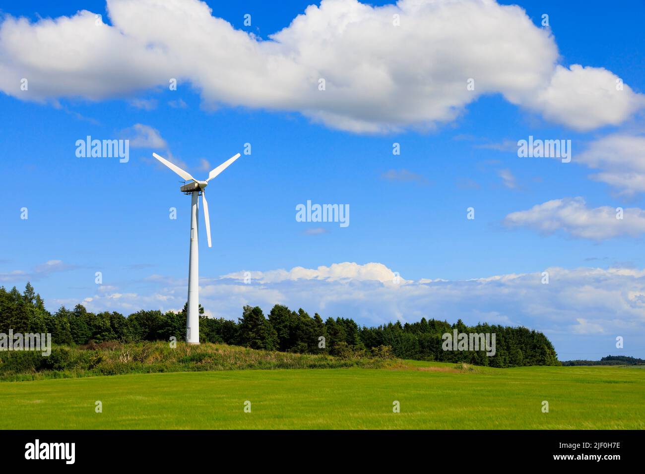 Wind turbine in a green field with blue sky and clouds Stock Photo - Alamy