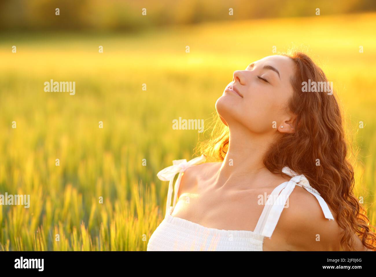 Relaxed woman breathing fresh air sitting in a wheat field at sunset ...