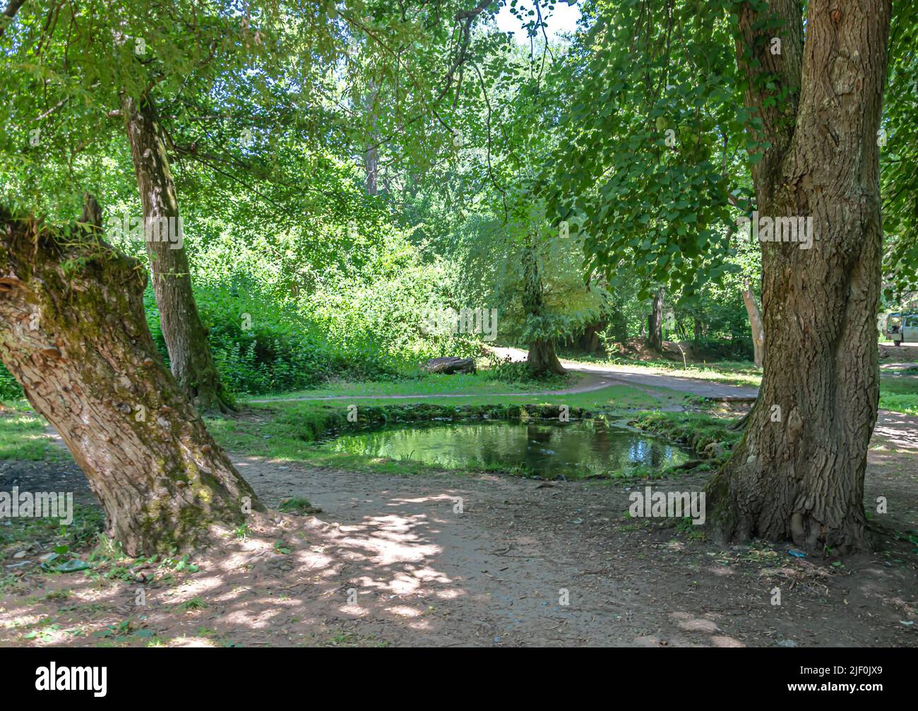 Rain on small lake pond hi-res stock photography and images - Alamy