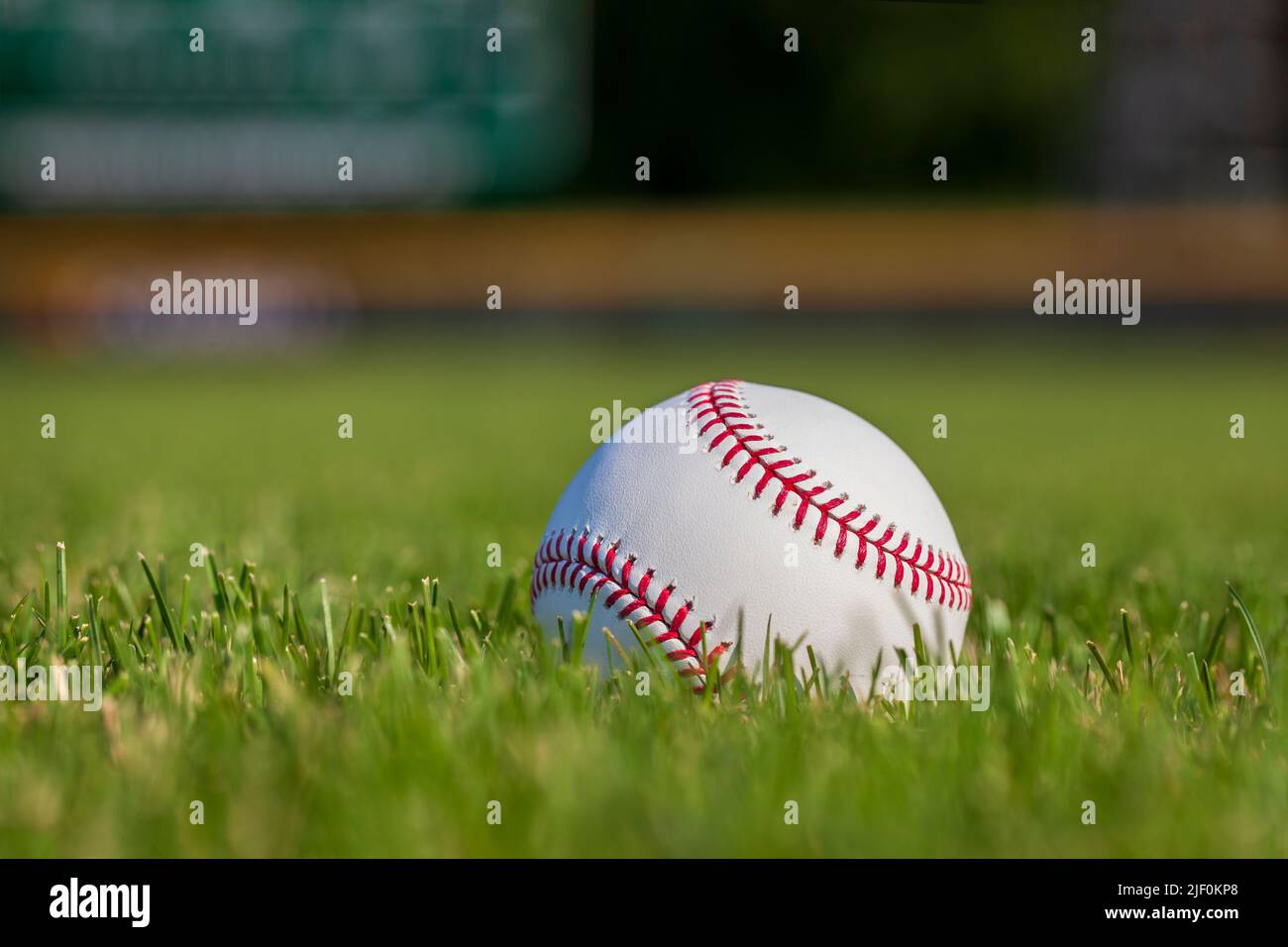 Low angle selective focus view of a baseball in grass with outfield fence in the background Stock Photo